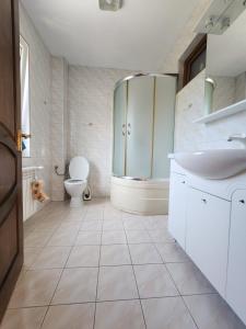 a bathroom with a sink and a toilet at Life-forever in Suceviţa +33 photos