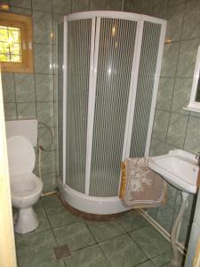 a bathroom with a shower and a toilet and a sink at Casa Lacramioara in Sîmbăta de Sus