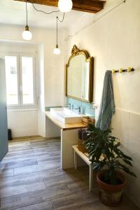 a bathroom with a sink and a mirror and a plant at LA CASA DINA in Banyuls-sur-Mer