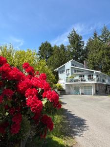 Zahrada ubytování Bayview Bed and Breakfast