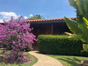 Pousada Estância Travessia外面的花园