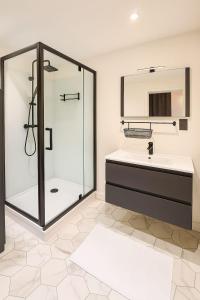 a bathroom with a shower and a sink at Stylish flat with rooftop in Ixelles in Brussels