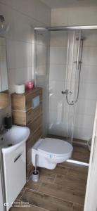 a bathroom with a shower and a toilet and a sink at Przystanek Dąbki in Dąbki