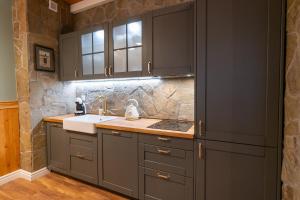 a kitchen with gray cabinets and a sink at Old House Apartments 2 Poznań in Poznań