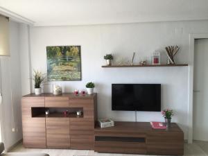 A television and/or entertainment centre at Apartamento Quesada