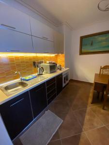 Kuchyň nebo kuchyňský kout v ubytování Albi Apartmet beachfront in Shengjin