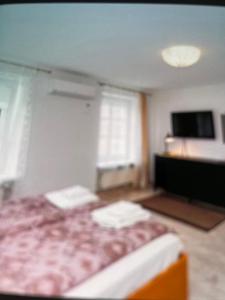 ニダにあるNida rentのベッドとテレビがある部屋