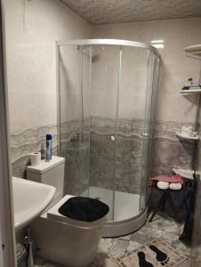 a bathroom with a shower and a toilet and a sink at Barateli in Kutaisi