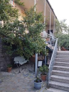 a staircase leading to a building with a tree and a bench at Barateli in Kutaisi