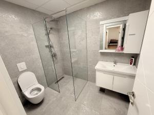 a bathroom with a shower and a toilet and a sink at EasyStay by Fuat in Struga