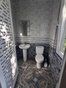 a bathroom with a toilet and a sink at Nutsa House in Ts'ikhisdziri +15 photos