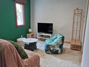 a living room with a chair and a television at Maison Romana in Riez