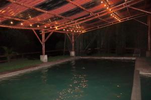 HueytamalcoFinca Pata Jaguar的带有带灯凉亭的游泳池 更多6张照片
