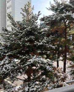 AwesomeSuwon 주재원 장기거주 할인 v zimě