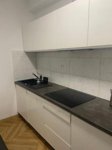Kuchyň nebo kuchyňský kout v ubytování Apartament dwa pokoje + 2 fotografie