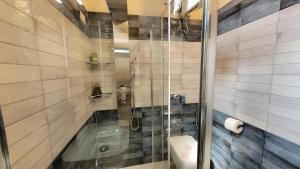 a bathroom with a shower and a toilet at Villa Rosa in SantʼElia +72 photos