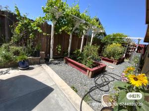 a garden with potted plants and a fence at 1 bedroom in a quiet neighborhood near the main street - Room B in Rowland Heights