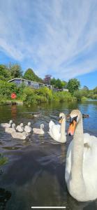 Ảnh trong thư viện ảnh của Summit Rest ở Caeathro