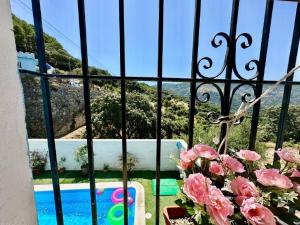 La casa de mis padres内部或周边的泳池