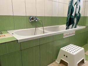 a green bathroom with a sink and a stool at Andrew's place in Metogjashta +16 photos