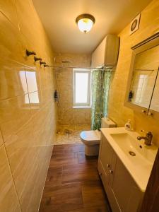 a bathroom with a sink and a toilet and a mirror at Rožu namu apartamenti 4 in Kuldīga