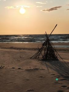 un montón de palos en la playa al atardecer en Pokoje u SŁONIA, en Stegna