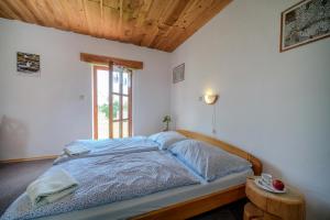 a bedroom with a bed in a room with a window at Pension Klose in Kubova Huť +66 photos