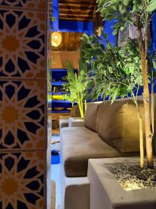 a living room with a couch and potted plants at Casa Amina in Chefchaouene