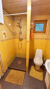a bathroom with a shower with a toilet and a sink at Veela metsamaja in Elbiku +29 photos