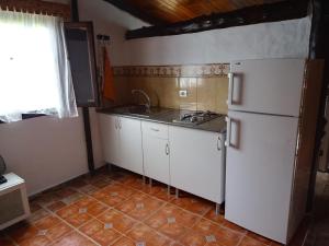 a kitchen with a white refrigerator and a sink at Casa Tamadaba in Agaete