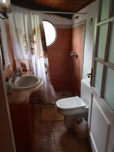 a bathroom with a toilet and a sink and a shower at Casa Tamadaba in Agaete