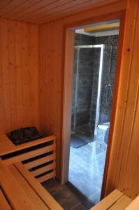 an inside view of a sauna with a walk in shower at Holiday home in Zahori u Semil - Isergebirge 38483 in Dlouhý