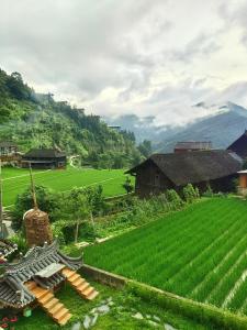 雷山县Xijiang Longtang Liyuan Mountain Resort B&B的有一片绿色田野和一栋建筑的农场