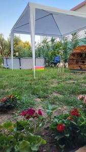 a white tent in a yard with flowers at "Olive & Bloom" entire vila with Pool & Private Parking in Berat