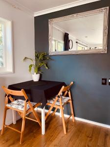 ロトルアにあるAdorable Self Contained One Bedroom Studioのダイニングルーム(椅子2脚、鏡付)