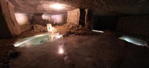 an overhead view of a group of animals in a cave at Beaulieu La Source in Saumur