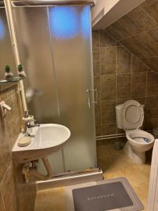 a bathroom with a shower with a sink and a toilet at Apartmani Krivokuća in Sveštica +16 photos