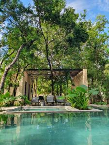 a swimming pool in a yard with chairs and trees at Villa with a private pool in Tulum