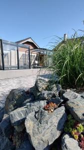 Taman di luar Apartmán Hevlín