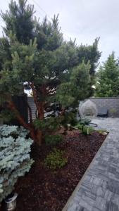 Taman di luar Apartmán Hevlín