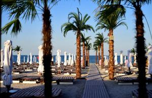 a beach with chairs and palm trees and the ocean at White Tower Apart Hotel in Mamaia