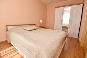 a bedroom with a large white bed and a window at Baltic Apartment in Klaipėda