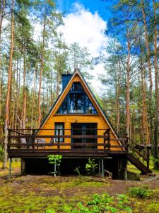 a house in the middle of a forest at Leśna Chatka in Wola Polska