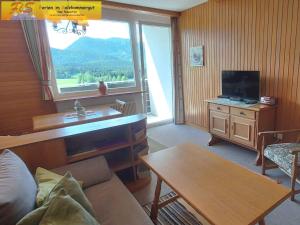 Televízia a/alebo spoločenská miestnosť v ubytovaní Apartment Bad Mitterndorf - Steiermark 432