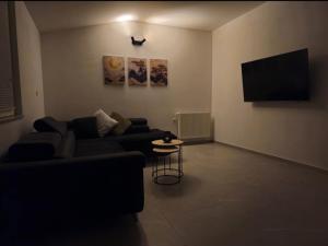 TV a/nebo společenská místnost v ubytování Apartman Ivan