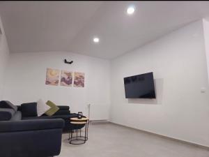 TV a/nebo společenská místnost v ubytování Apartman Ivan