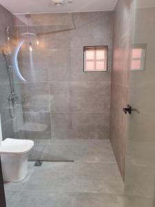 a bathroom with a shower and a toilet at Roxanne Mini Suite With Yard in Melíssia +16 photos