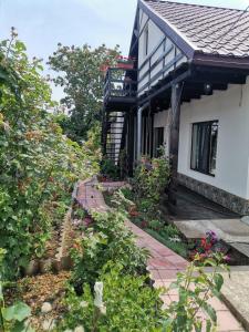 ein Garten vor einem Haus in der Unterkunft Căsuța din grădină in 2 Mai