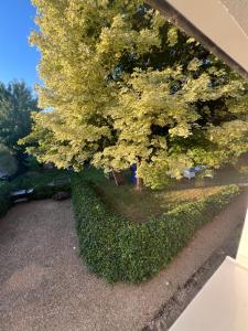 Κήπος έξω από το Villa Romy - à 2 pas du circuit de Spa-Francorchamps