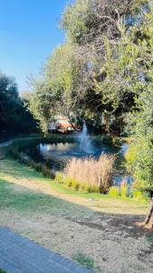 a pond with a waterfall in a park at Luxury 1-Bedroom Apartment in Fourways-Sandton with FREE Gym, swimming Pool and Restaurant in Fourways